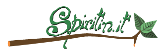 Logo Spiritin